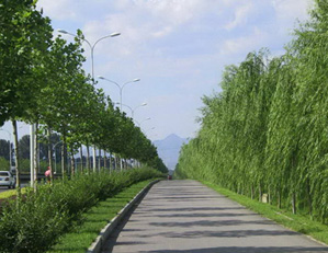 �к��h������